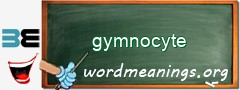 WordMeaning blackboard for gymnocyte